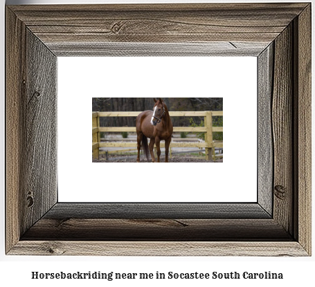 horseback riding near me in Socastee, South Carolina